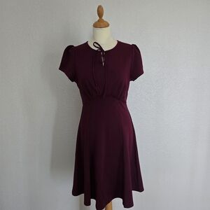 Belle Pogue Vintage A-Line Swing Dress